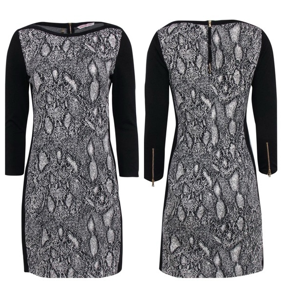 Women’s Size 6 Rebecca Taylor Black Cream Python Print Sheath Sweater Dress